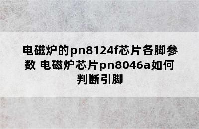 电磁炉的pn8124f芯片各脚参数 电磁炉芯片pn8046a如何判断引脚